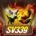 avatar for dagasv339ccpt