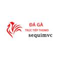 avatar for dagasequimvc