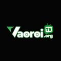 avatar for vaoroitvorgg