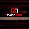 avatar for cado888casino