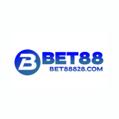 avatar for bet88828