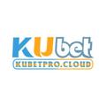 avatar for kubetprocloud