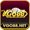 avatar for vgo88net