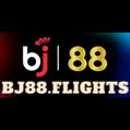 avatar for bj88flightsvn