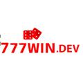 avatar for 777windev