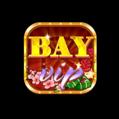 avatar for bayvipcam