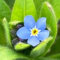 avatar for BlueBooks@buecher.pnpde.social