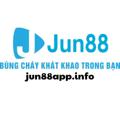 avatar for jun88appinfo