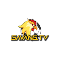 avatar for gavangtv