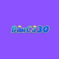 avatar for banca30design