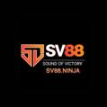 avatar for sv88ninja