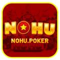 avatar for nohupoker