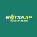 avatar for bongvipvnscom
