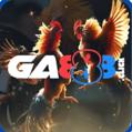 avatar for ga888click