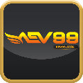 avatar for aev99