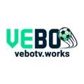 avatar for vebotvworks
