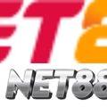 avatar for net881biz