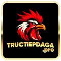 avatar for tructiepdagapro