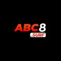 avatar for abc8surf1