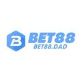 avatar for bet88dad