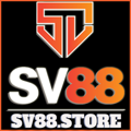 avatar for sv88bnhessentials