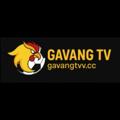 avatar for gavangtvvcc