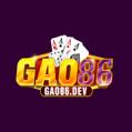 avatar for gao86dev