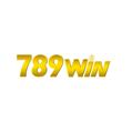 avatar for 6789windigital