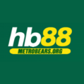 avatar for hb88metrobears