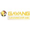 avatar for gavangvipme