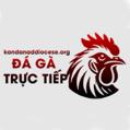 avatar for dagatructiepdiocese