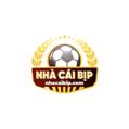 avatar for nhacaibipcom