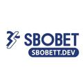 avatar for sbobettdev