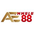 avatar for ae88mulu