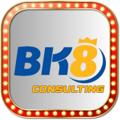 avatar for bk8consulting