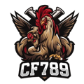 avatar for cf789arts