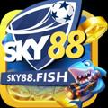 avatar for sky88fish