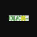 avatar for xoilacyyzcc