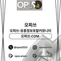 avatar for sinchonchuljangshop