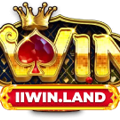 avatar for iiwinland