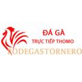 avatar for dagabodegastornero