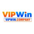 avatar for vipwincompany