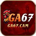 avatar for ga67cam