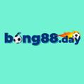 avatar for bong88day