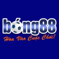 avatar for bong88alo88