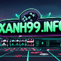 avatar for conggamexanh99