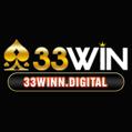 avatar for 33winndigital