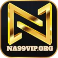 avatar for na99viporg