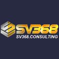 avatar for sv368consulting