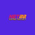 avatar for vipnet88net